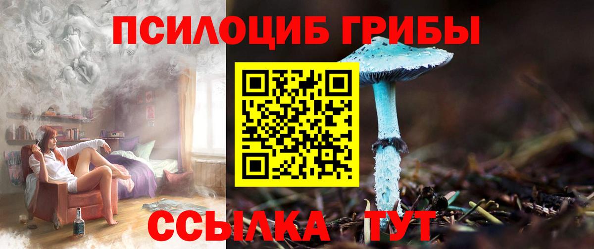 Галлюциногенные грибы прущие грибы Советская Гавань